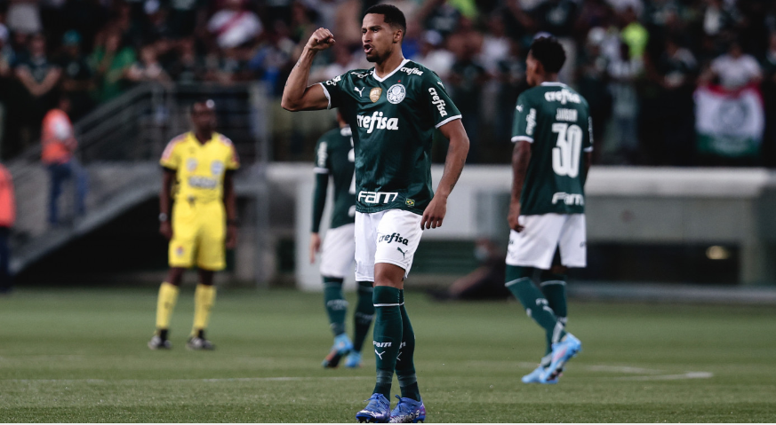 Murilo Palmeiras