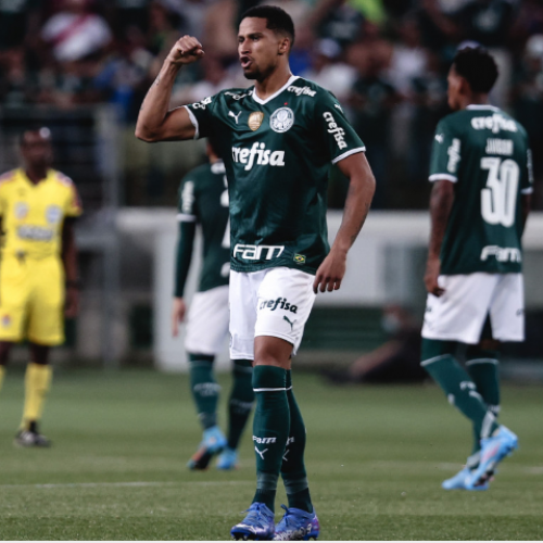 Murilo  Palmeiras